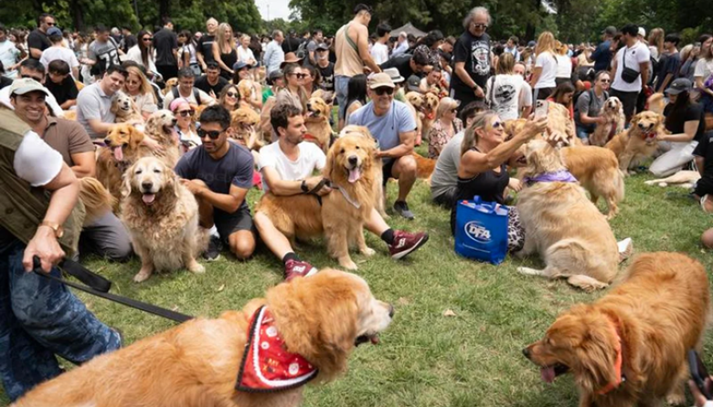 Récord mundial: reunieron más de 2.300 golden retrievers en los Bosques de Palermo