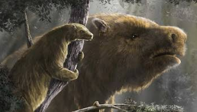 Un estudio del CONICET revela que los primeros pobladores de América eran cazadores de megafauna