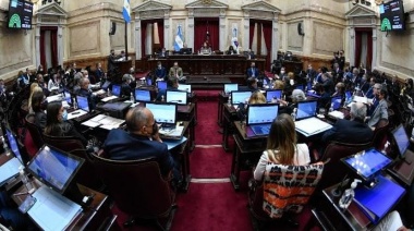 El Senado debate proyecto que beneficia a entidades sin fines de lucro