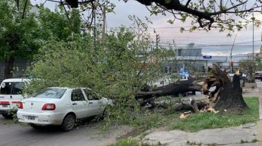 La Plata registró ráfagas de viento de más de 70 km/h