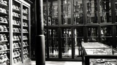 Pedirán al Museo de La Plata la restitución de los restos de ancestros originarios