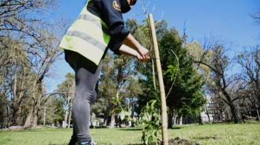 La ciudad lanza un plan de forestación local