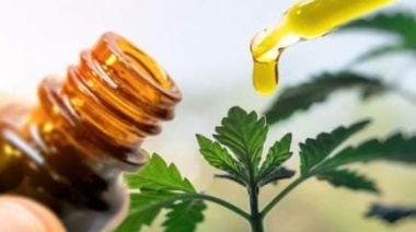 El Instituto de Salud Colectiva de la Universidad Nacional de Lanús (UNLA) abrió la inscripción al curso sobre el cannabis y sus aplicaciones terapéuticas
