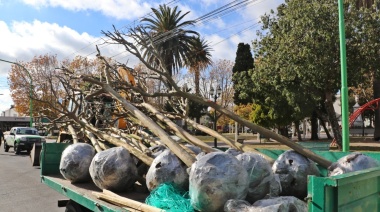 Ensenada puso en marcha el plan de forestación