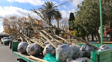 Ensenada puso en marcha el plan de forestación