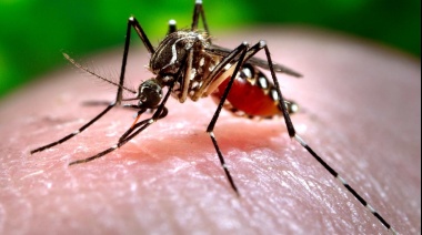 Refuerzan recomendaciones para evitar la propagación del dengue