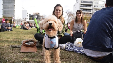 Organizan una feria para fomentar la adopción de perros y gatos