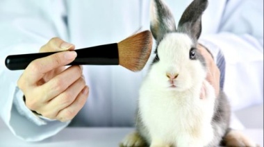 Investigadores del CONICET trabajan en el desarrollo de alternativas que permitan el reemplazo de animales en ensayos de seguridad