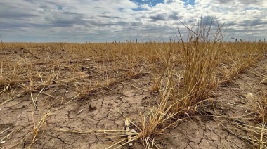 Las políticas que impulsa el Gobierno bonaerense para respaldar al sector agropecuario ante las sequías