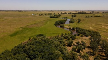 Cuáles son los espacios naturales protegidos por el Municipio en La Plata