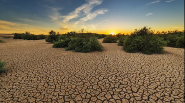 Banco Provincia amplía la asistencia financiera a productores en medio de la emergencia agropecuaria