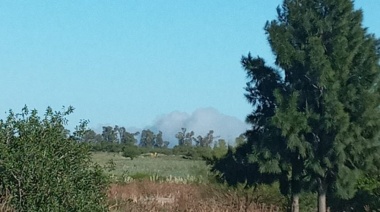 Incendio en una zona del Parque Pereyra Iraola