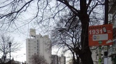 Mujer que cayó de un tercer piso lucha por su vida