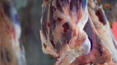 Anticipan una suba del 50% de la carne por atraso en el precio