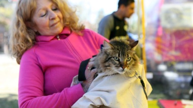 La atención veterinaria gratuita llega a Parque Saavedra, San Carlos y Altos de San Lorenzo