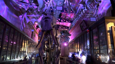 Noche cultural en La Plata: "Museos a la luz de la luna" vuelve este sábado