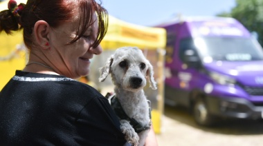 Vacunación y desparasitación veterinaria: esta semana en ramblas, San Carlos y Villa Elvira