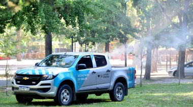 Invasión de mosquitos: fumigan puntos estratégicos y refuerzan campaña de prevención