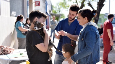 Vacunación antirrábica gratuita en La Plata: dónde y cuándo se atenderá esta semana