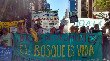 El aspecto ambiental, uno de los tantos que preocupan de la ‘Ley Ómnibus’ enviada por Milei al Congreso