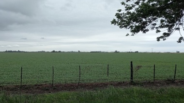 Centro de Ex Combatientes busca nulidad de DNU que derogó ley de tierras