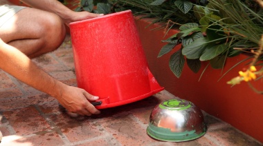 Dengue: refuerzan el pedido de descacharreo para evitar la proliferación tras las lluvias