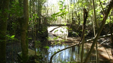 Ambientalistas exigen medidas urgentes para proteger la fauna en el Parque Pereyra Iraola