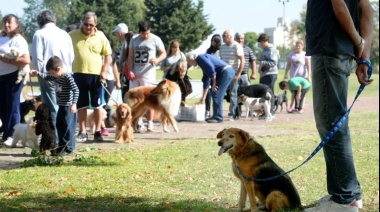 Turnos gratuitos para castración de mascotas en La Plata