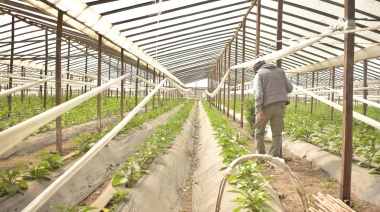 Estudio revela la disparidad de precios en productos agrícolas y ganaderos