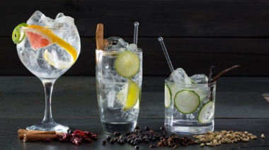 Celebrá el Día del Gin Tonic con creatividad y estilo