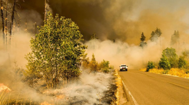 Día Internacional contra el Cambio Climático: un llamado diario a la acción