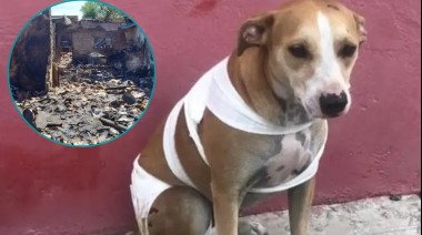 Piden ayuda para un vecino y sus perros tras un incendio
