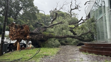 La tormenta dejó miles de usuarios sin luz, voladuras de techos y árboles caídos