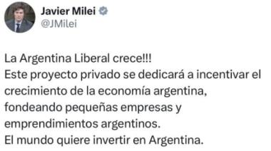 Milei y la criptomoneda: ¿irresponsabilidad presidencial o delito?