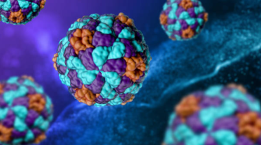 Alerta sanitaria: Crecen los casos de hepatitis A en Argentina