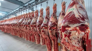 Chile suspendió la importación de carne argentina por una medida del Gobierno
