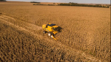 Milei elimina temporalmente las retenciones a los granos y espera que el campo liquide stocks