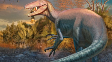 Descubren en Argentina un nuevo megarraptórido, uno de los últimos dinosaurios en habitar la Tierra