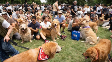 Récord mundial: reunieron más de 2.300 golden retrievers en los Bosques de Palermo