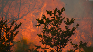 Incendios en el sur: investigan a funcionarios por posibles responsabilidad en la expansión del fuego