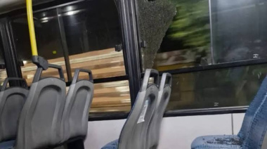 Noche de pánico en Los Hornos: destrozaron un micro a pedradas en un brutal ataque vandálico