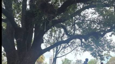 Conmoción por un macabro hallazgo en Parque Saavedra
