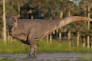 Descubrimiento paleontológico en Chubut: Nuevo dinosaurio carnívoro Koleken inakayali