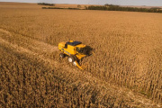 Milei elimina temporalmente las retenciones a los granos y espera que el campo liquide stocks