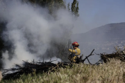 Alertan por el riesgo “muy alto” de incendios forestales en Bariloche y El Bolsón