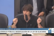 Un joven llevó al Congreso el reclamo por el cuidado de los glaciares