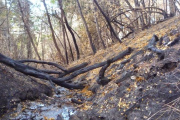 Determinan el impacto de los incendios forestales en los cuerpos de agua