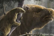 Un estudio del CONICET revela que los primeros pobladores de América eran cazadores de megafauna