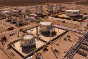 La "joyita" agrícola de Neuquén: empresas analizan cómo reutilizar el agua de Vaca Muerta para riego por goteo